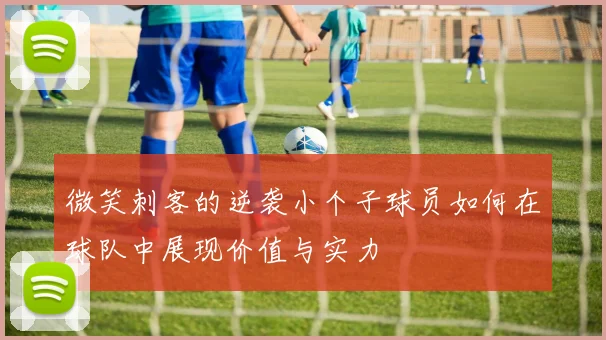 微笑刺客的逆袭小个子球员如何在球队中展现价值与实力