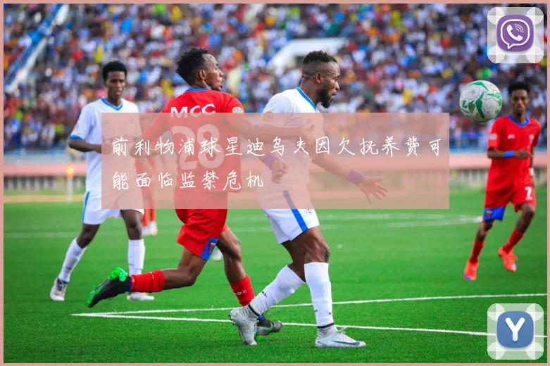 前利物浦球星迪乌夫因欠抚养费可能面临监禁危机