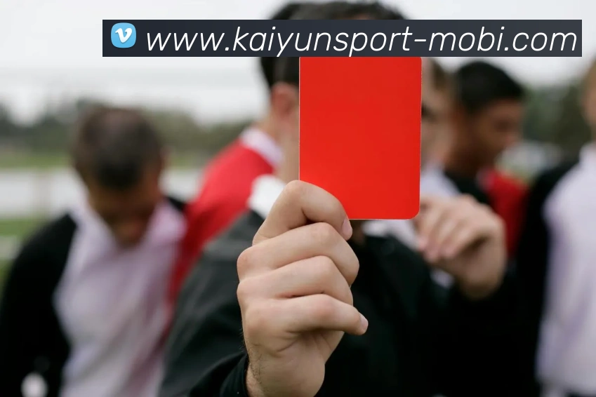 开云体育APP 高清赛事图