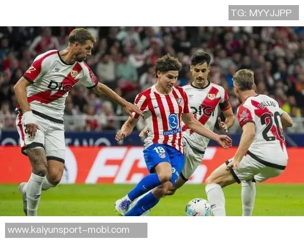 英超多队争抢热那亚后卫库菲尤文图斯也在关注此人选